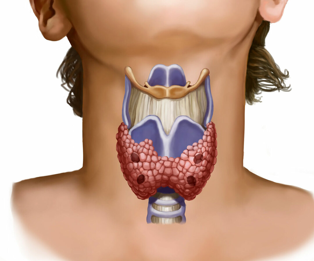 Examination of the thyroid gland