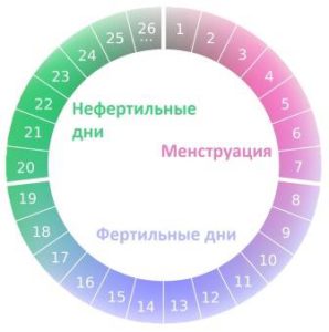 Menstruaaltsükli