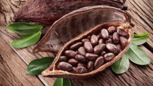 Cacao en chocolade voor maagzweren: de interactie bestuderen