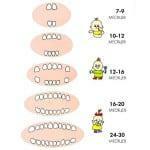 Como crescer dentes em esquema de crianças