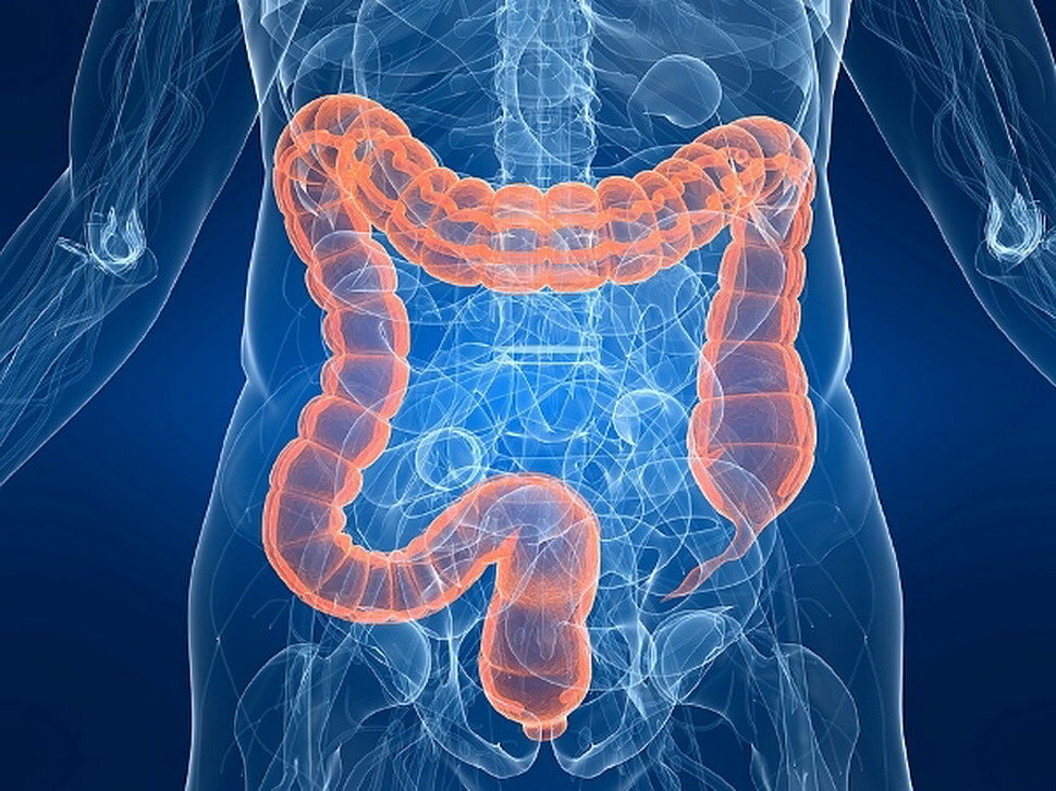 Crohn's disease: symptoms and treatment