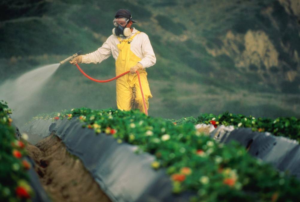 Pesticides and neurological diseases