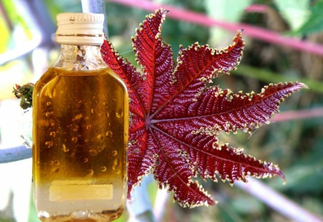 Castor oil from constipation