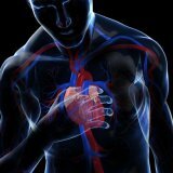 Kardiologija - sindrom Brugada