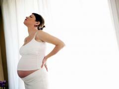 Smärta i ryggen ofta berörs för gravida kvinnor