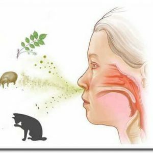 Cēloņi un iespējamās komplikācijas alerģiska rinīta