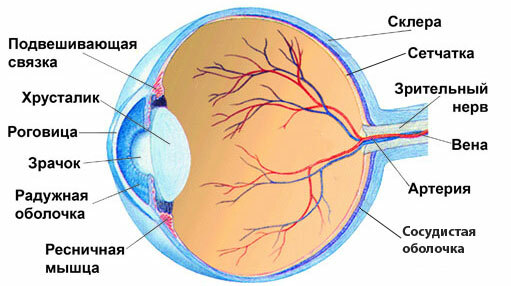 Príznaky poškodenia zraku