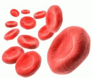 Hemoglobinecellen