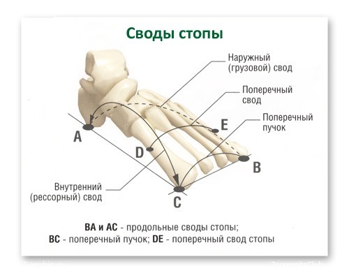 Classification of flat feet