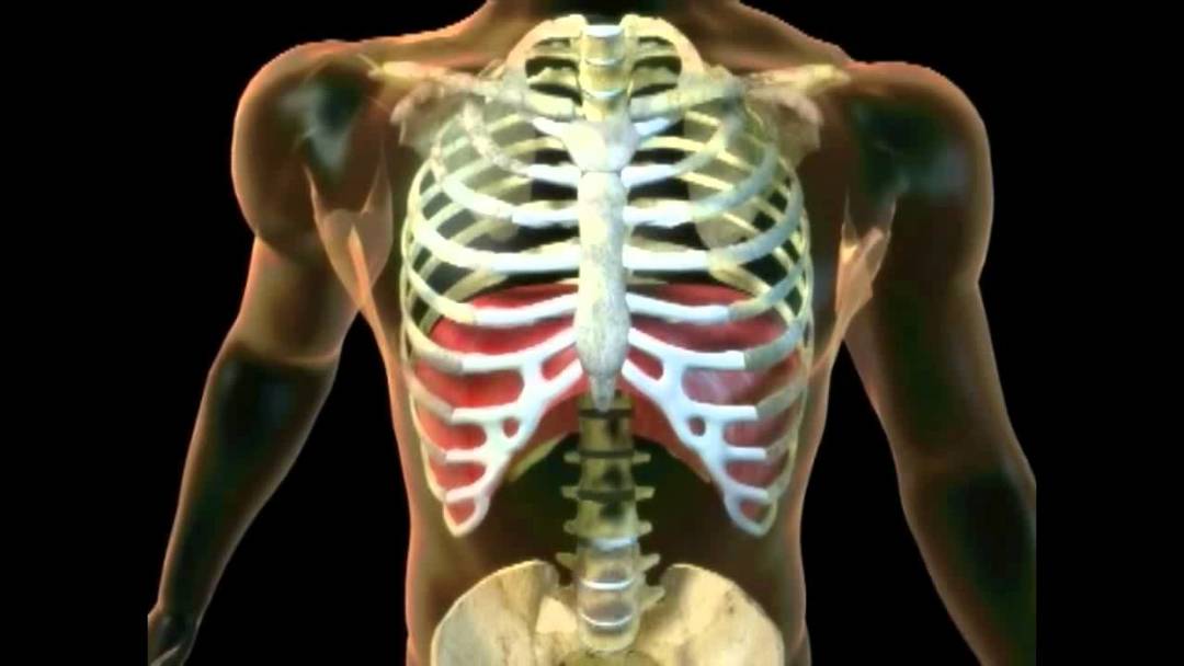 Dói à esquerda sob as costelas da frente: o que pode ser, do lado esquerdo sob as costelas, dói nas costas, causas e possíveis doenças