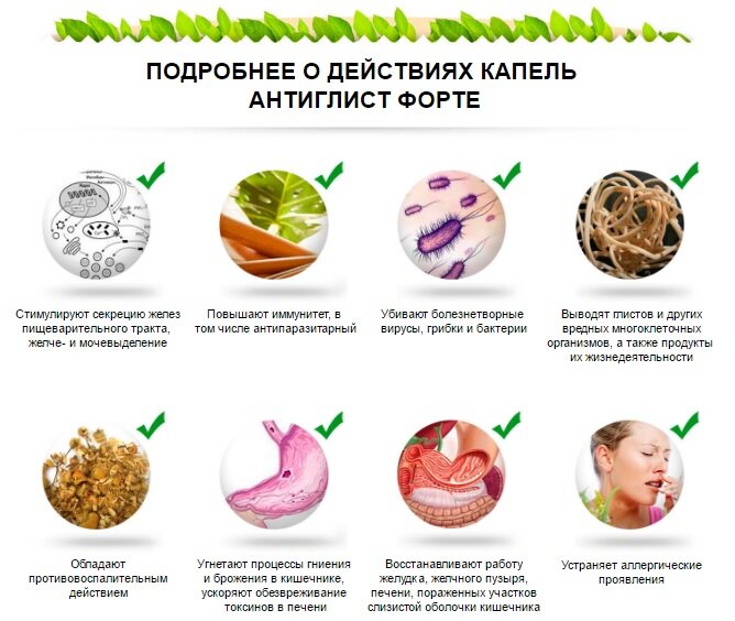 Antiglist Forte: kapky pro kontrolu parazitů v jakékoli podobě