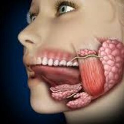 Causas de inflamação, sinais e métodos de tratamento da glândula salivar
