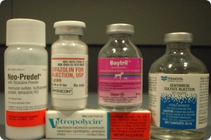 Antibiotika und Pneumonie