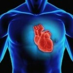 A szívbetegségek