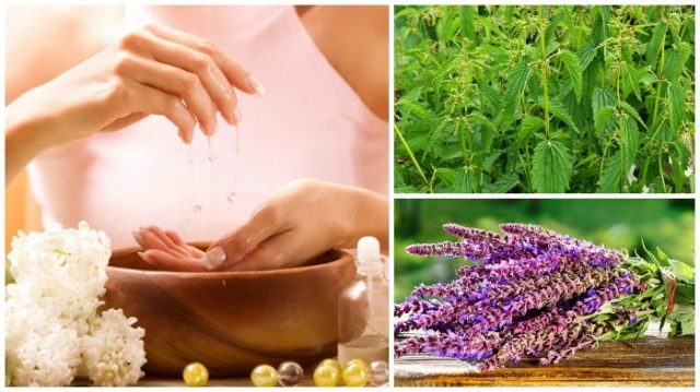 Herbs to reduce sweating