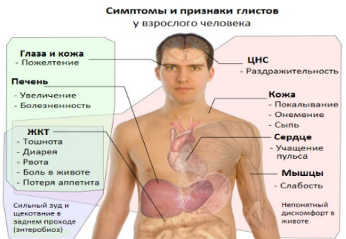 Simptomi-lezije-paraziti telesa