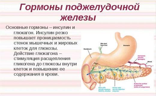 Hormóny pankreasu