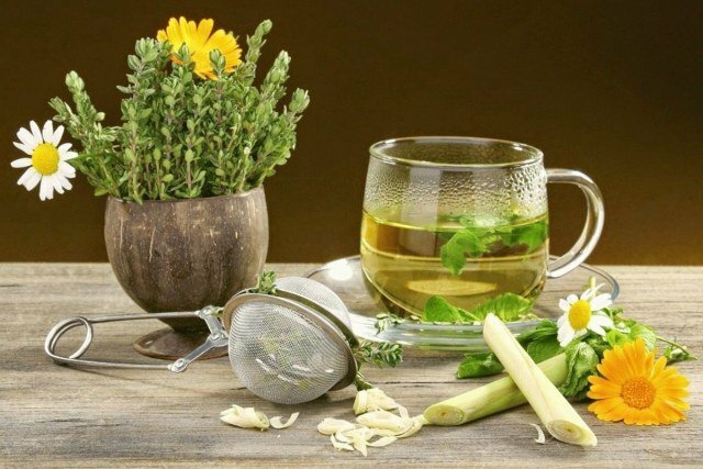 Obat herbal dalam pengobatan manifestasi alergi