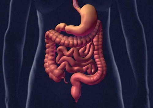 malattie intestinali