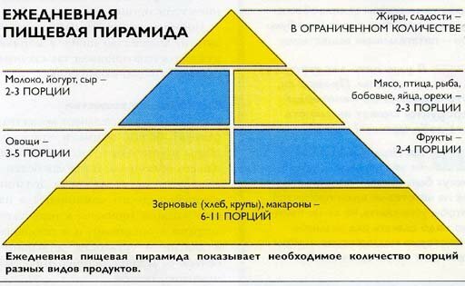 Daglig fødepyramide