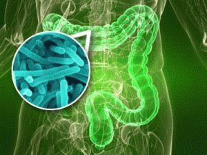 Microflora intestinal