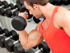 Biceps er en af ​​de mest populære muskel