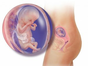 Fetal asfyxi