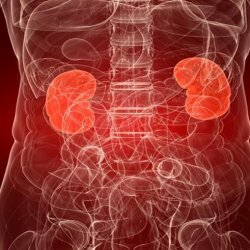 Síntomas de la tuberculosis renal