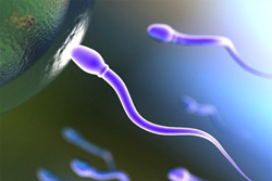 How to treat male infertility
