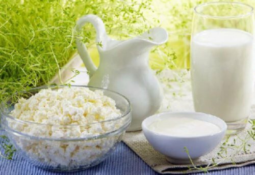 Benefits of fatty dairy products: myths and facts
