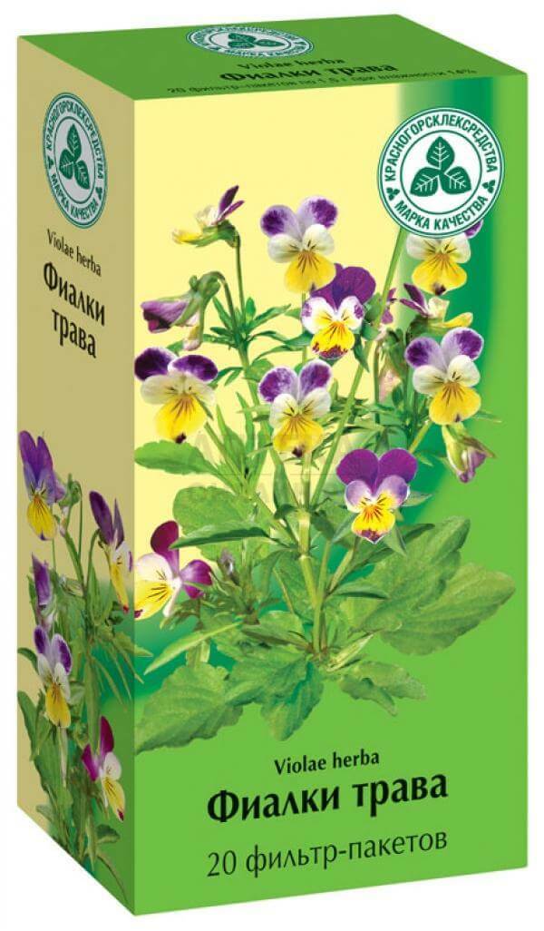 Viola tricolor: geneeskrachtige eigenschappen, contra-indicaties, toepassing in de geneeskunde