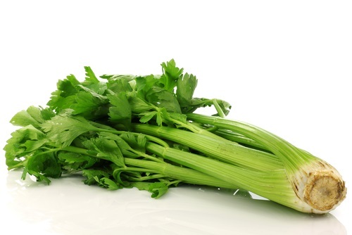 Celery from prostatitis: preventive and curative procedures