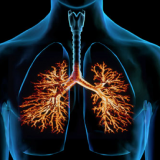 Behandeling van chronische bronchitis met kruiden