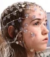 EEG of the brain