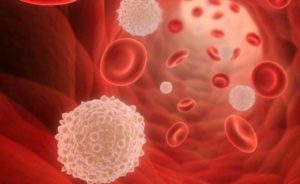 Análisis de sangre para la apendicitis: transcripción, indicadores en adultos y niños.