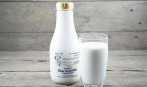Melk voor pancreatitis: kun je geit of koe drinken?