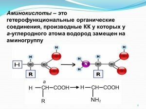 Štruktúra aminokyselín
