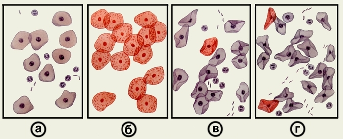 Reliability of cytological research