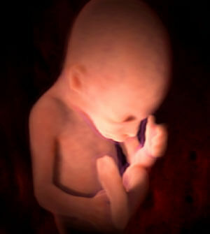 29 Woche Schwangerschaftsfoto